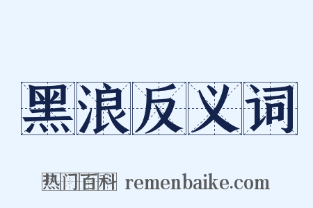 黑浪反义词是什么意思的图片